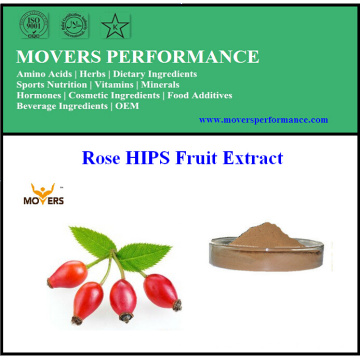 GMP Manufacture Supply Rose HIPS Fruit Extract